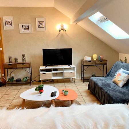 Charmant Appart Sous Toits Proche Chateau Des Ducs Chambery Ngoại thất bức ảnh